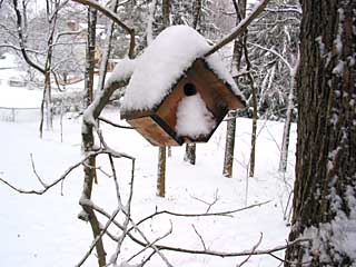 birdhouse