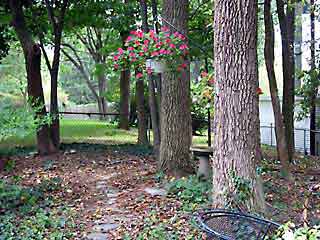 path in early fall