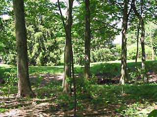 looking down from the patio