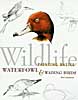 Wildlife: Waterfowl & Wading Birds