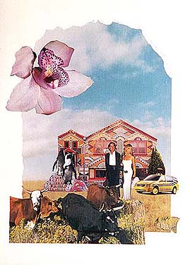 paper collage--Hollywood stars meet prairie life
