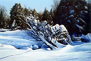 snow scene