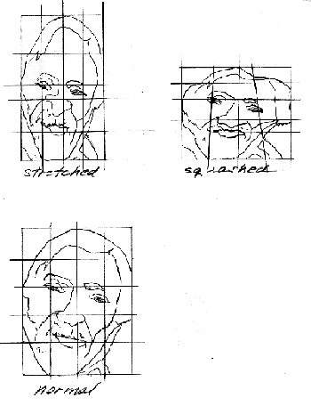 distortion grids